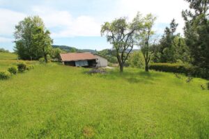 05 Jardin 01 300x200