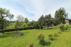 05 Jardin 02 300x200